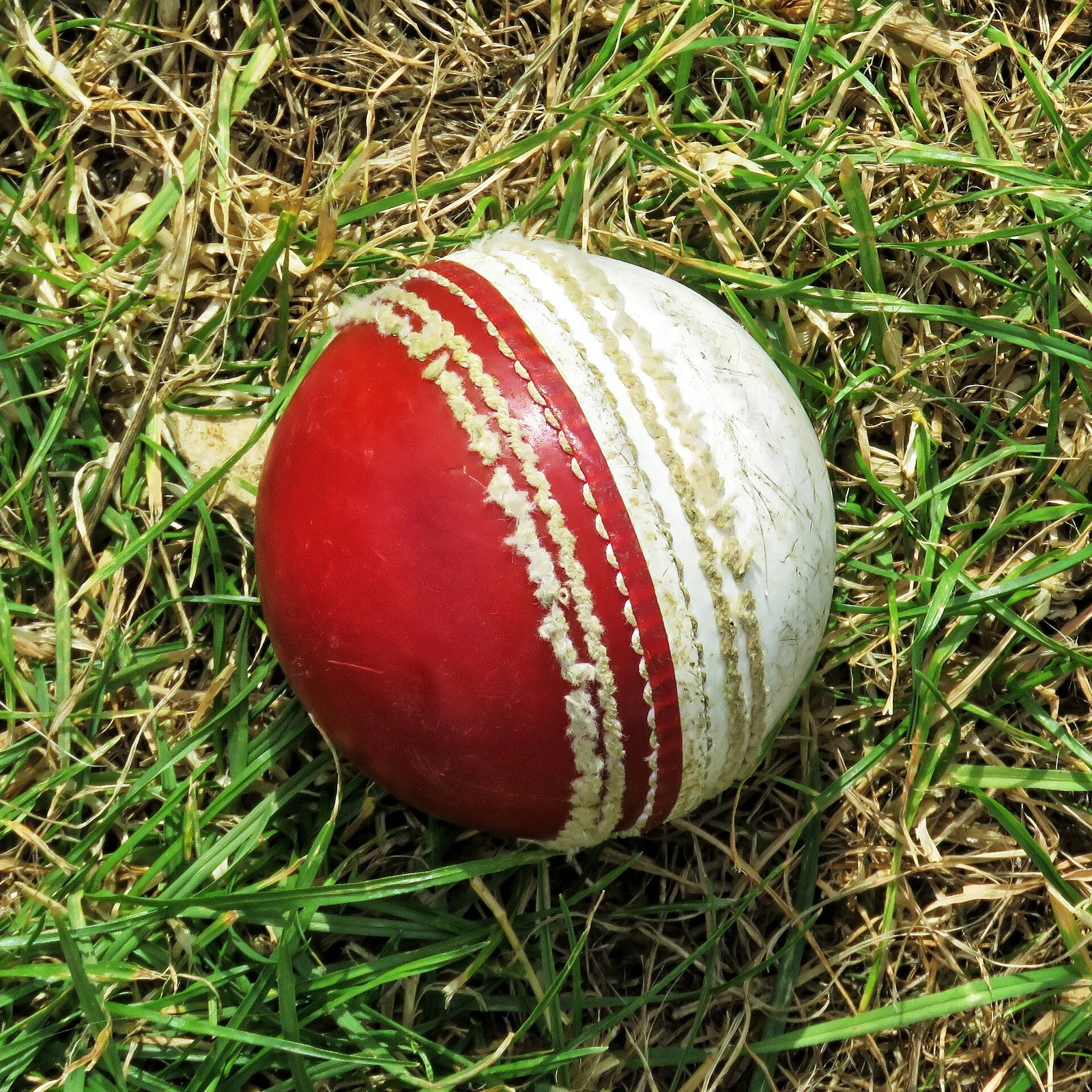 Gebrauchter rot-weißer Cricketball im Gras.